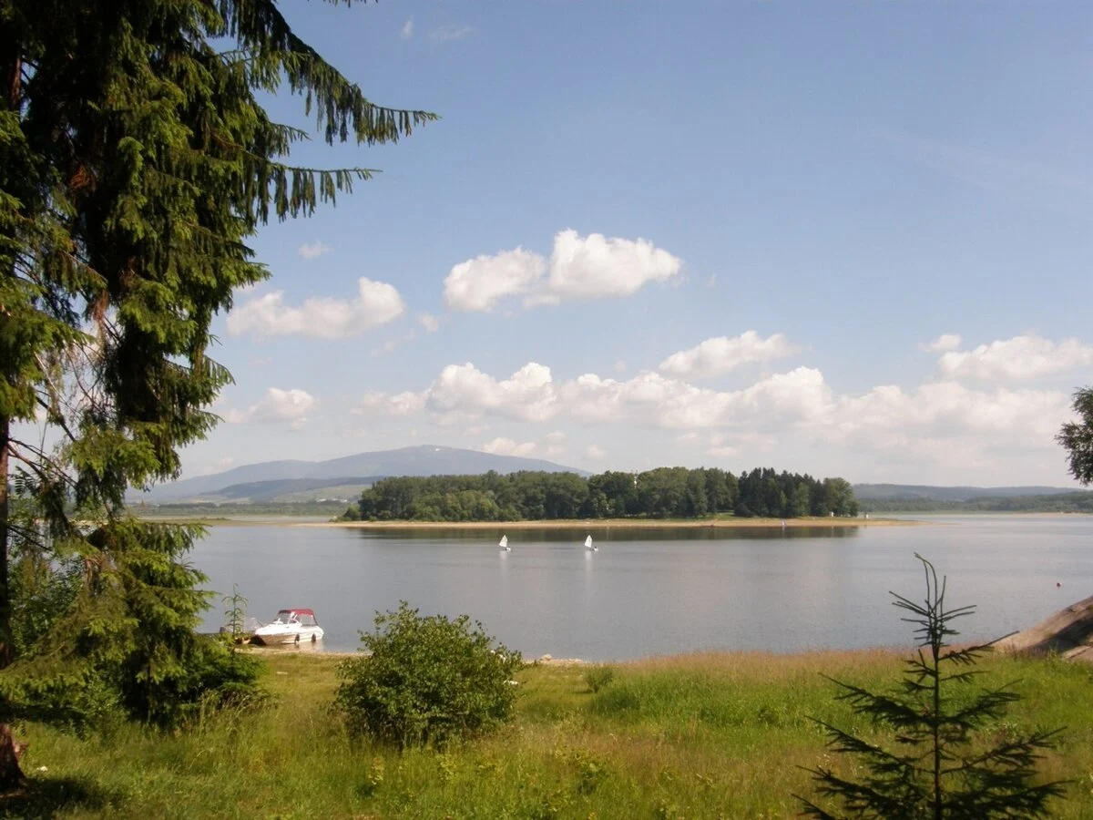 Example Image